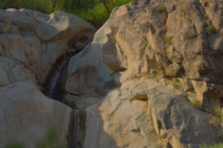 چنار ۴۰۰ ساله ناران و آبشار معروف شمیران در قاب «تهرانگرد»