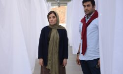 بررسی نقد و نظرات منتقدان و صاحبنظران سینما فیلم آهو