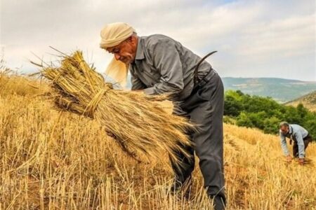 تفاهم‌نامه جدید طرح جهش تولید در دیم‌زارها امضا شد