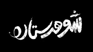 رونمایی از لوگوی فیلم «شوهر ستاره» با حضور حامد بهداد