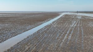 تالاب میانکاله و خلیج گرگان تا ۳ سال دیگر از بین می‌روند!