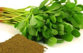 معجزه خرفه؛ گیاهی برای کاهش اختلالات رشد و اوتیسم در کودکان