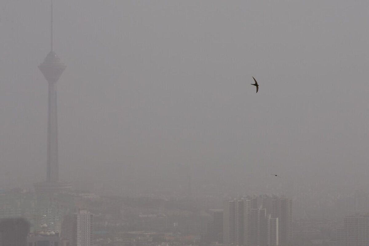 اینفوگرافیک/ این شهرها آلوده‌ترین هوای جهان را داشتند؟