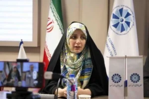 ابراز امیدواری بهروزآذر نسبت به افزایش مدیران زن از ۱۲ به ۳۰ درصد در پایان دولت