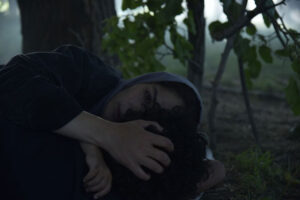 نامزد ۸ سیمرغ جشنواره فجر، حالا در دسترس مخاطبان آنلاین