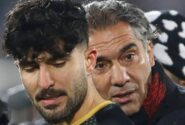 بچه عقاب در اسپانیا ماندنی شد!