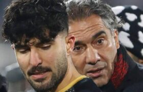بچه عقاب در اسپانیا ماندنی شد!